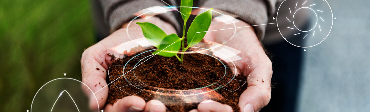 Corporate Social Responsibility